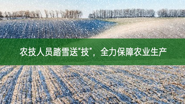 農技人員踏雪送“技”，全力保障農業生產