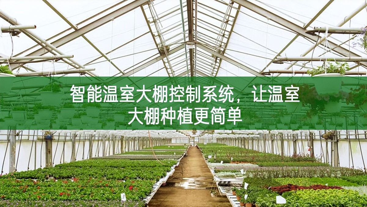 智能溫室大棚控制系統(tǒng)，讓溫室大棚種植更簡單