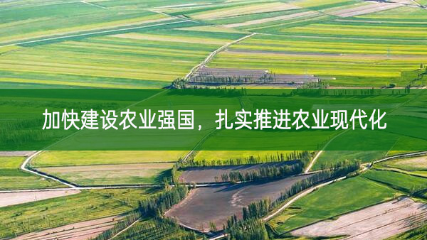加快建設農業強國 扎實推進農業現代化