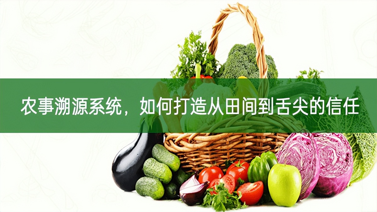 農事溯源系統，如何打造從田間到舌尖的信任