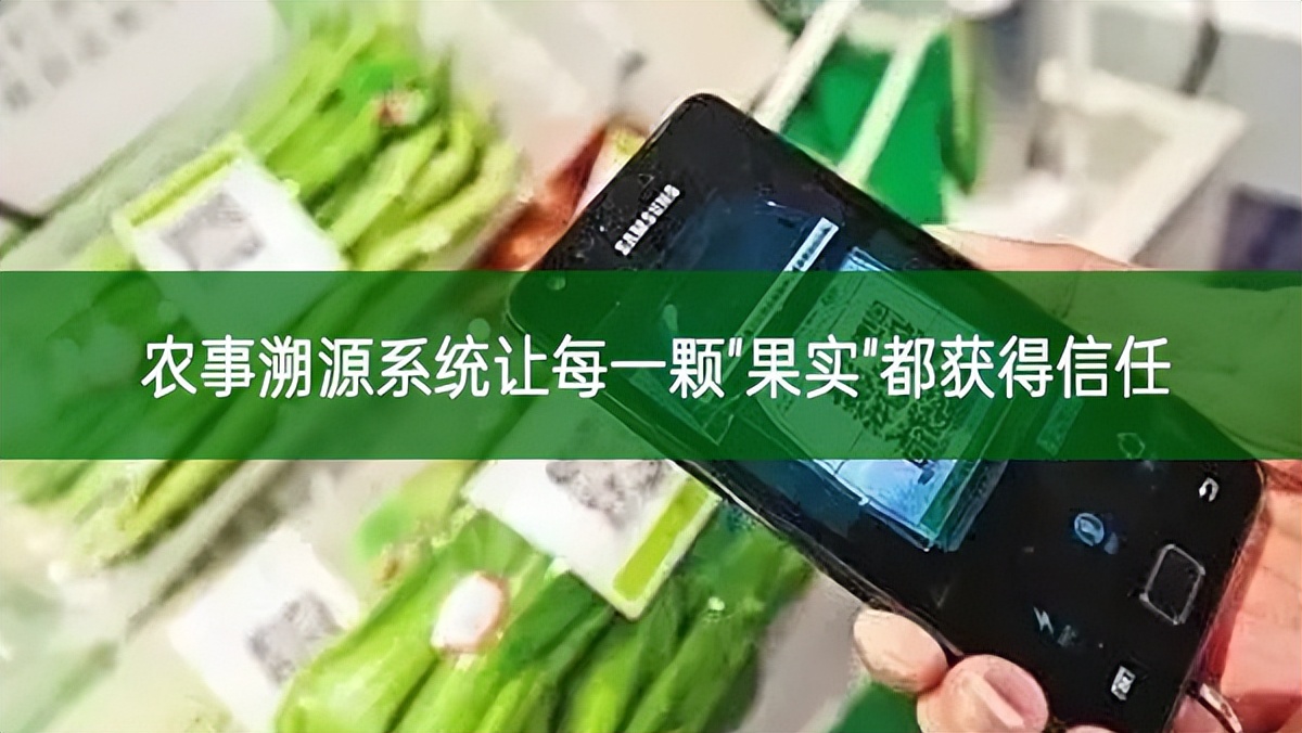 農事溯源系統讓每一顆"果實"都獲得信任