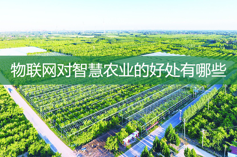 物聯網對智慧農業的好處有哪些