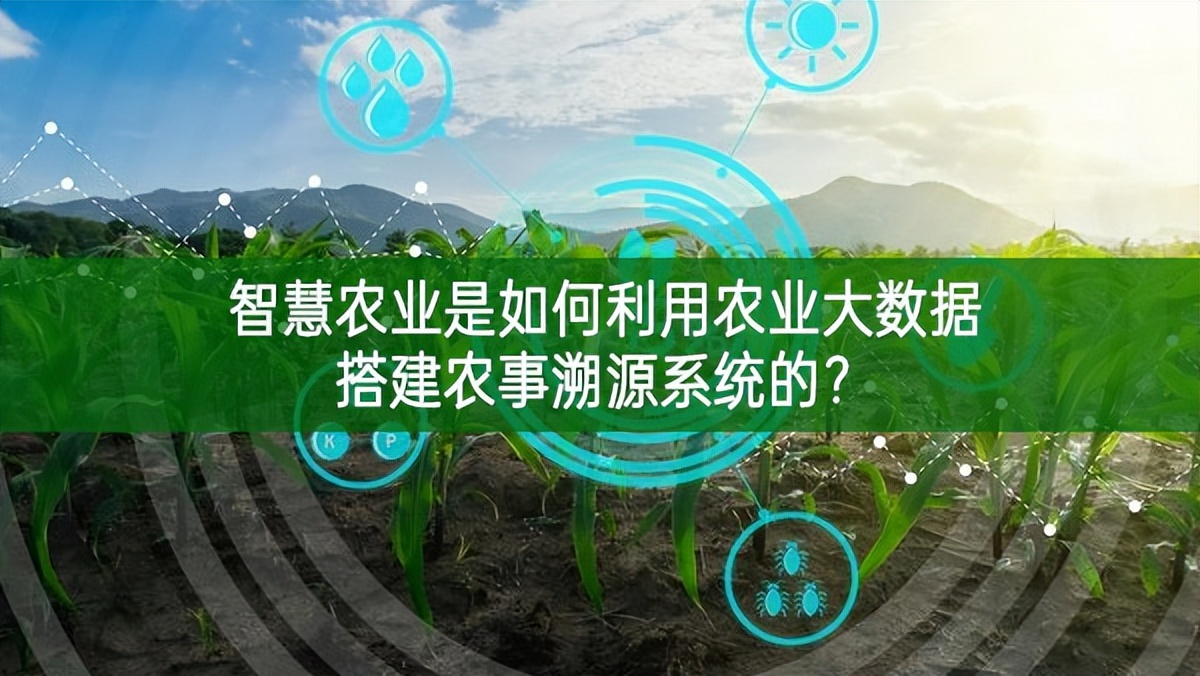 智慧農業是如何利用農業大數據搭建農事溯源系統的？