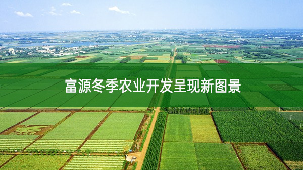 富源冬季農(nóng)業(yè)開發(fā)呈現(xiàn)新圖景