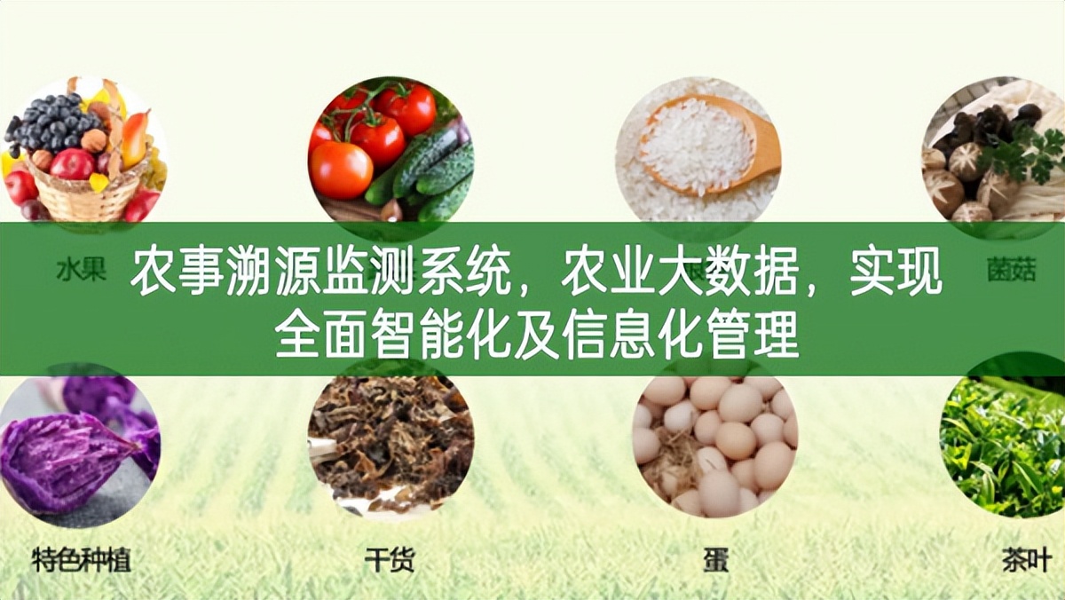 農事溯源監測系統，農業大數據，實現全面智能化及信息化管理