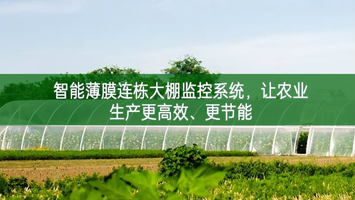 智能薄膜連棟大棚監控系統，讓農業生產更高效、更節能