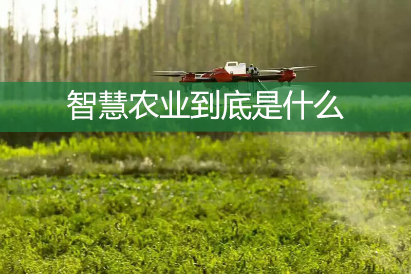 智慧農(nóng)業(yè)到底是什么