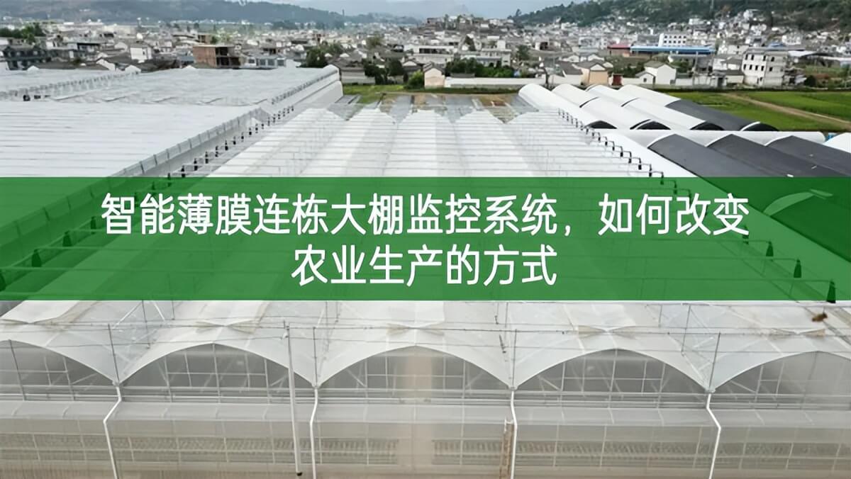 智能薄膜連棟大棚監控系統，如何改變農業生產的方式