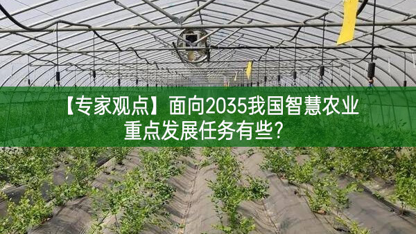 【專家觀點】面向2035我國智慧農業重點發展任務有些?
