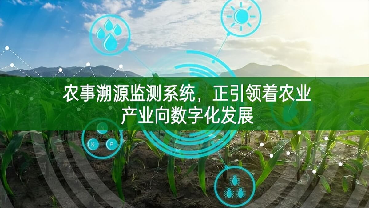 農事溯源監測系統，正引領著農業產業向數字化發展