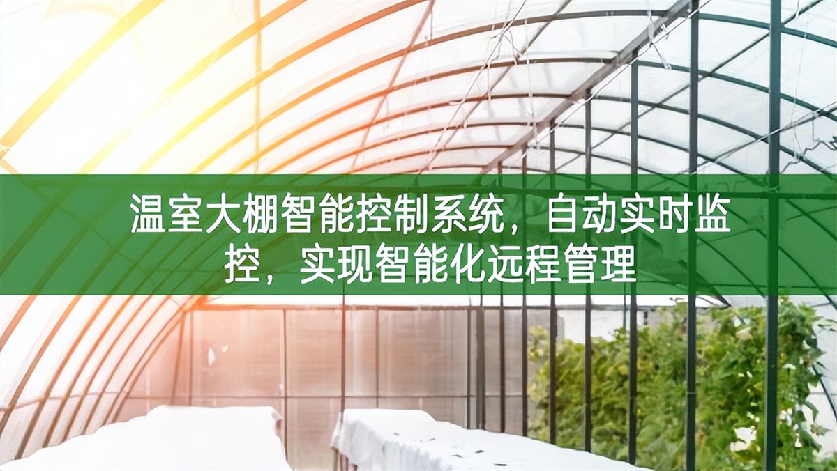 溫室大棚智能控制系統(tǒng)，自動(dòng)實(shí)時(shí)監(jiān)控，實(shí)現(xiàn)智能化遠(yuǎn)程管理