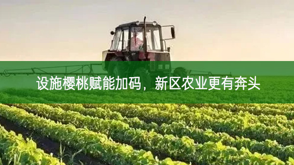 設(shè)施櫻桃賦能加碼 ，新區(qū)農(nóng)業(yè)更有奔頭