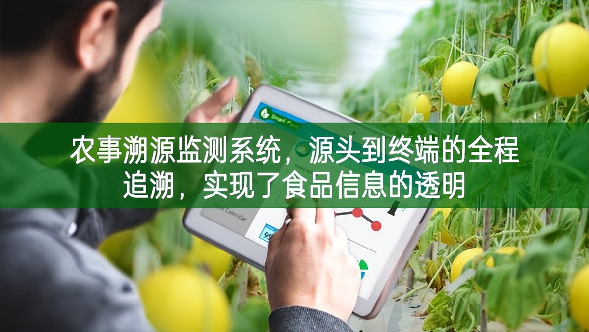 農事溯源監測系統，源頭到終端的全程追溯，實現了食品信息的透明
