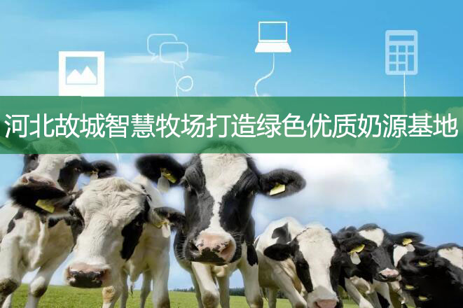 河北故城智慧牧場打造綠色優質奶源基地