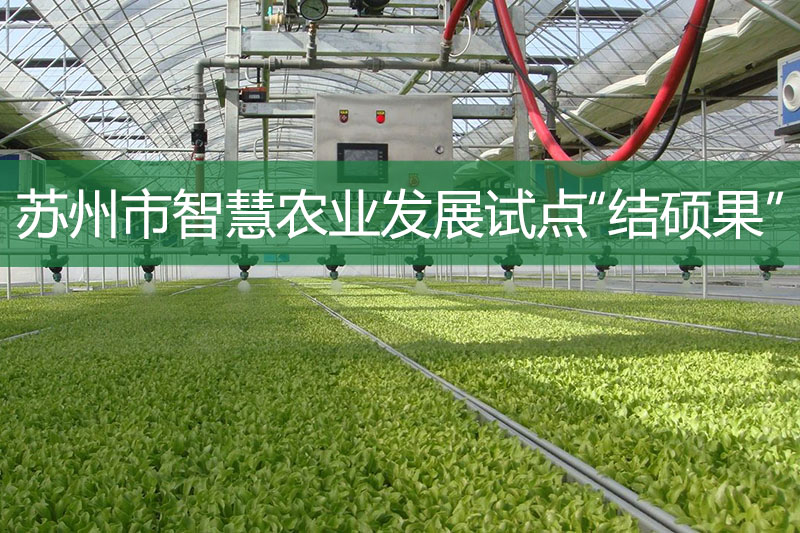 蘇州市智慧農業發展試點“結碩果”