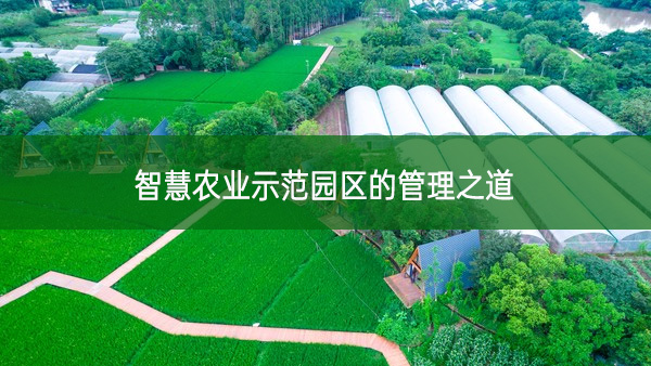 智慧農(nóng)業(yè)示范園區(qū)的管理之道