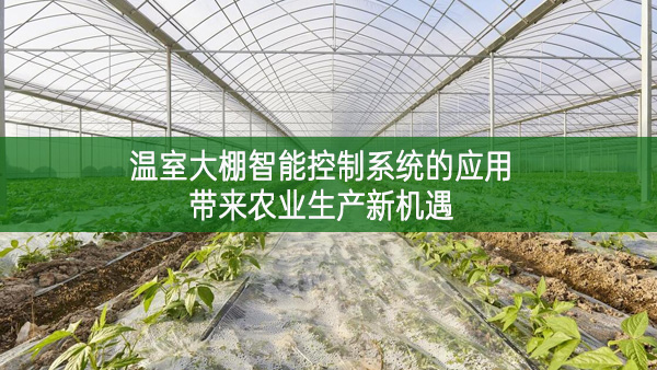 溫室大棚智能控制系統(tǒng)的應(yīng)用帶來農(nóng)業(yè)生產(chǎn)新機(jī)遇
