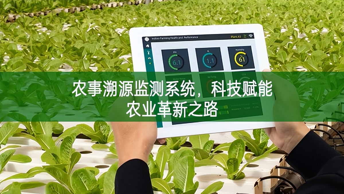 農事溯源監測系統，科技賦能農業革新之路