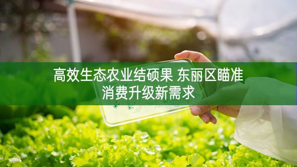 高效生態(tài)農(nóng)業(yè)結(jié)碩果 東麗區(qū)瞄準(zhǔn)消費(fèi)升級(jí)新需求 培優(yōu)做強(qiáng)精品農(nóng)特產(chǎn)品