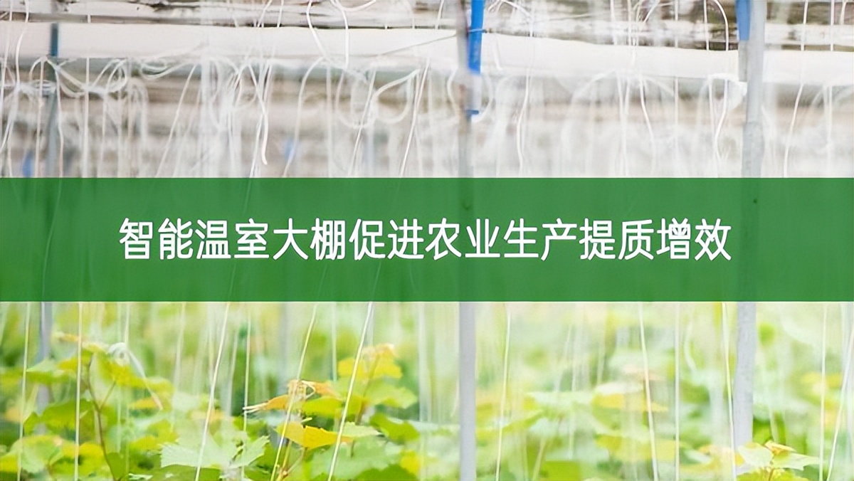 智能溫室大棚促進(jìn)農(nóng)業(yè)生產(chǎn)提質(zhì)增效