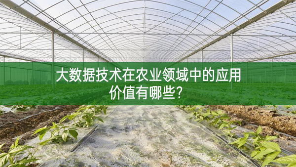 大數據技術在農業領域中的應用價值有哪些？
