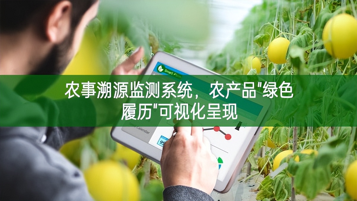 農事溯源監測系統，農產品"綠色履歷"可視化呈現