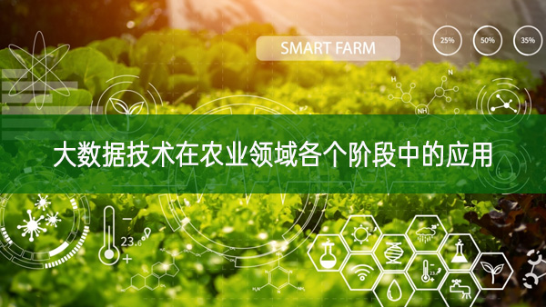 大數(shù)據(jù)技術(shù)在農(nóng)業(yè)領(lǐng)域各個(gè)階段中的應(yīng)用