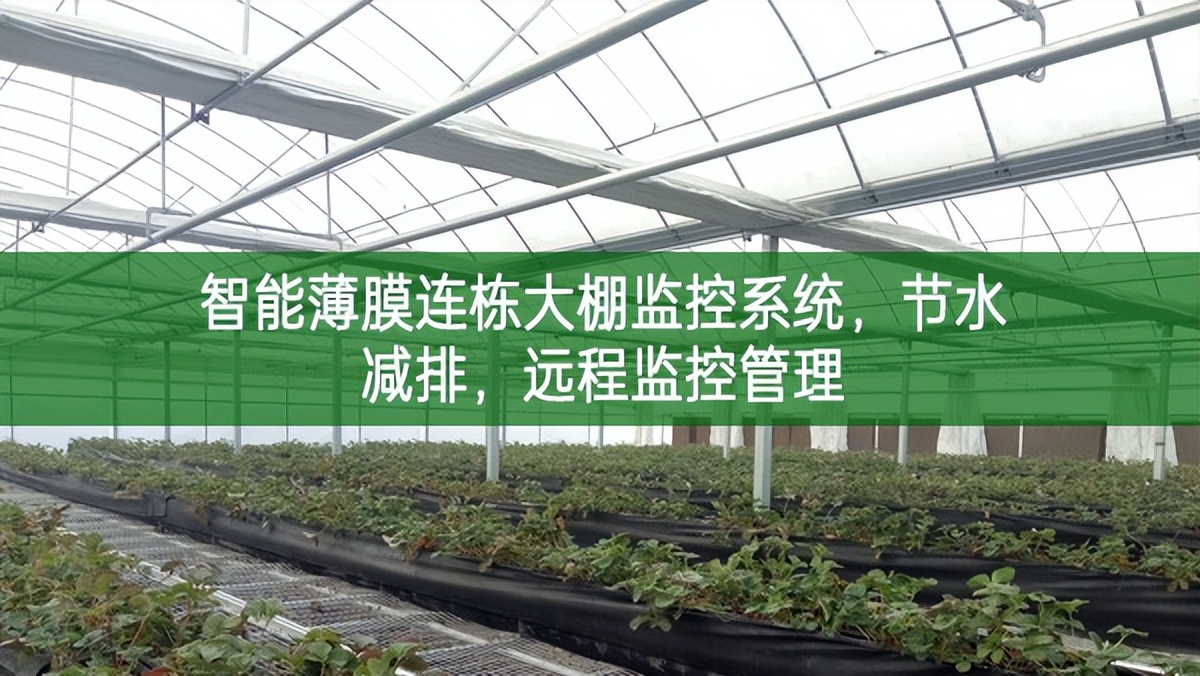 智能薄膜連棟大棚監控系統，節水減排，遠程監控管理