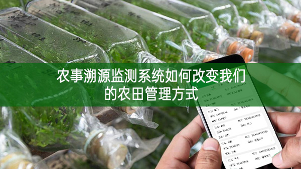 農事溯源監測系統如何改變我們的農田管理方式
