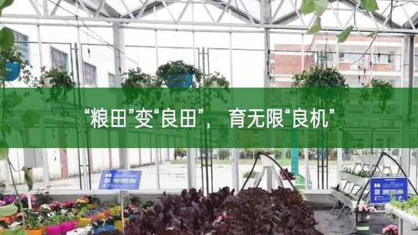 “糧田”變“良田”， 育無(wú)限“良機(jī)”