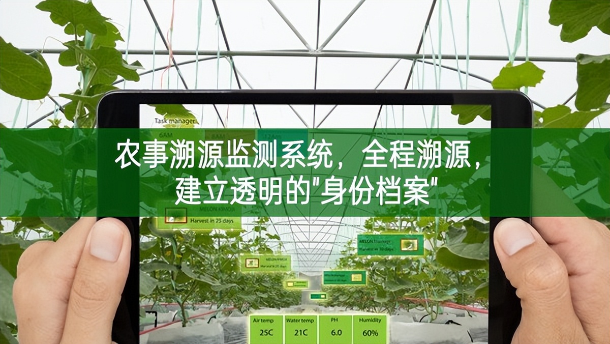 農事溯源監測系統，全程溯源，建立透明的"身份檔案"