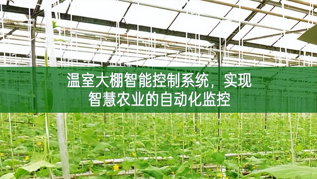 溫室大棚智能控制系統(tǒng)，實現(xiàn)智慧農(nóng)業(yè)的自動化監(jiān)控