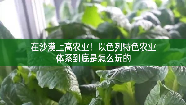 在沙漠上高農業！以色列特色農業體系到底是怎么玩的