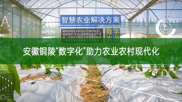 安徽銅陵“數字化”助力農業農村現代化