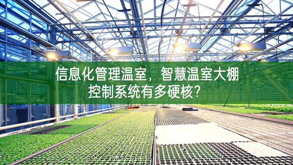 信息化管理溫室，智慧溫室大棚控制系統(tǒng)有多硬核？