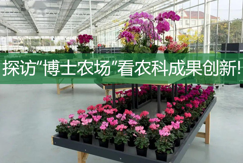 探訪“博士農場”看農科成果創新!