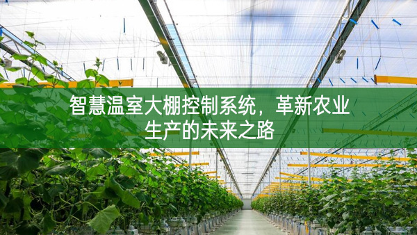 智慧溫室大棚控制系統(tǒng)，革新農(nóng)業(yè)生產(chǎn)的未來之路