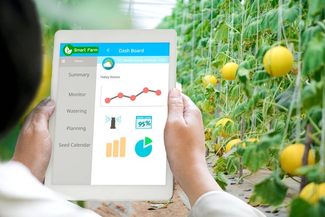 農(nóng)產(chǎn)品質(zhì)量安全追溯系統(tǒng)，讓食品安全信息觸手可及