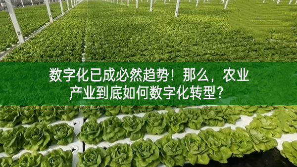 數字化已成必然趨勢！那么，農業產業到底如何數字化轉型？