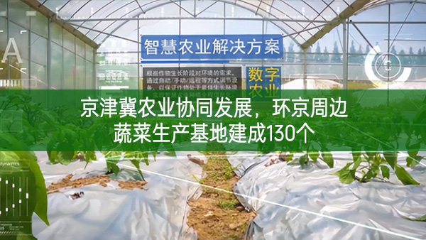 京津冀農業協同發展，環京周邊蔬菜生產基地建成130個