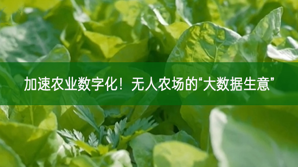 加速農(nóng)業(yè)數(shù)字化！無人農(nóng)場(chǎng)的“大數(shù)據(jù)生意”