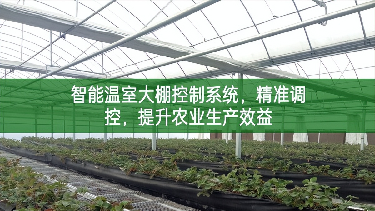 智能溫室大棚控制系統，精準調控，提升農業生產效益