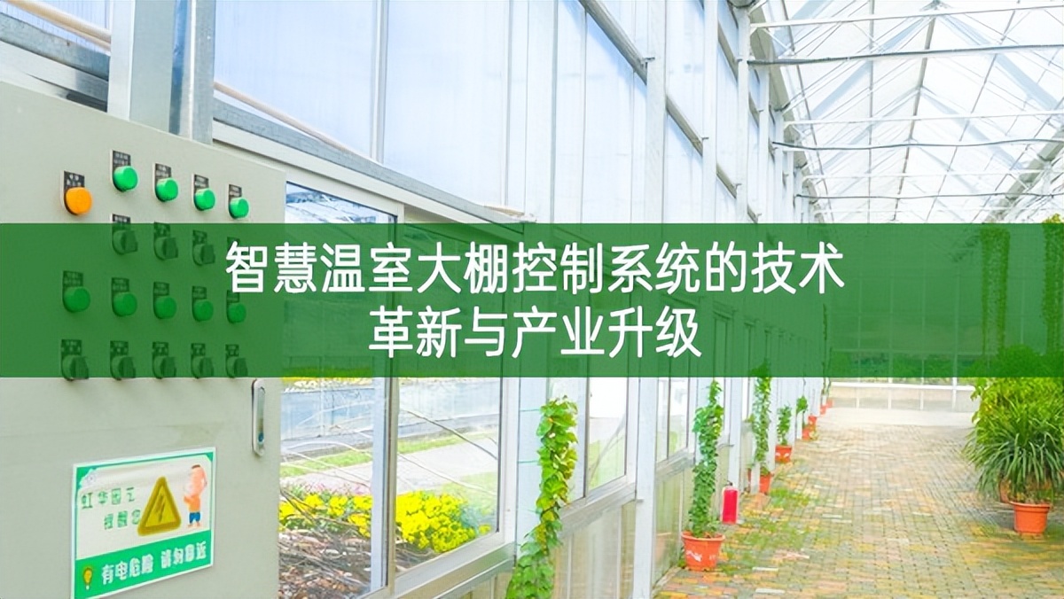 智慧溫室大棚控制系統(tǒng)的技術(shù)革新與產(chǎn)業(yè)升級