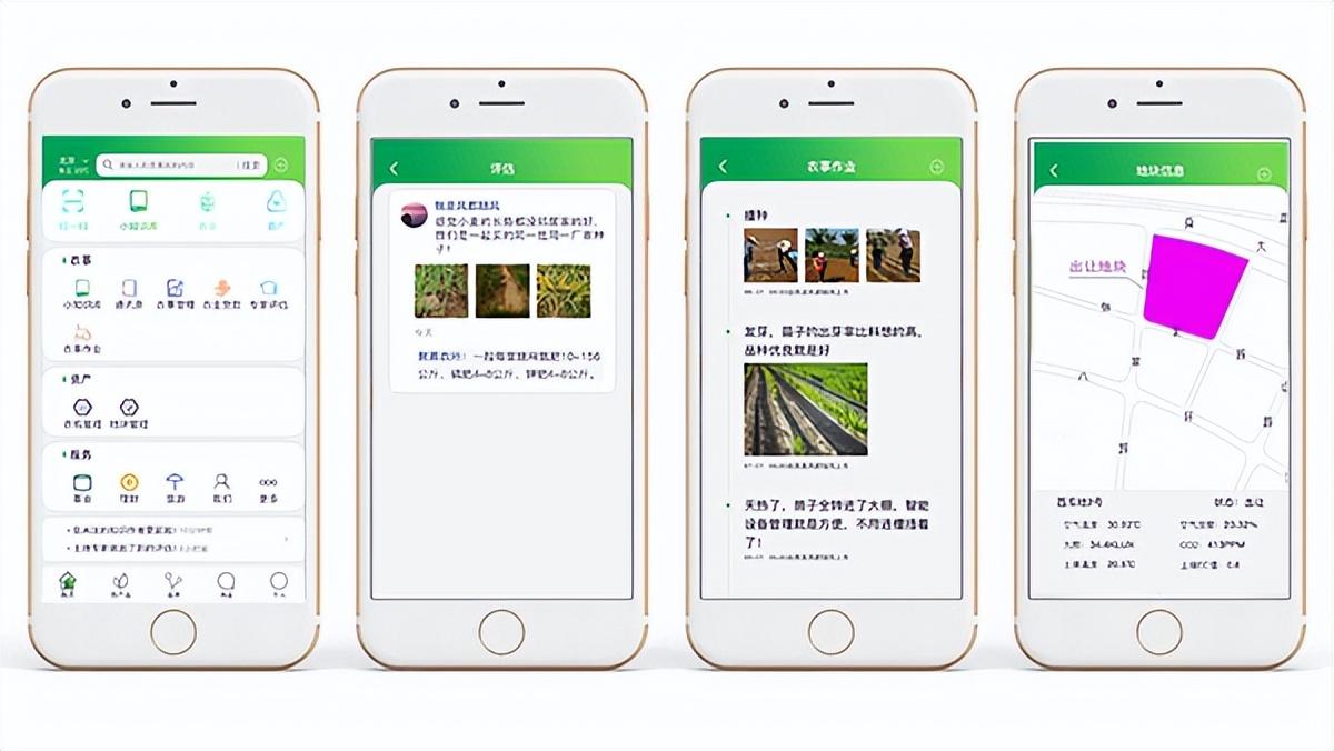 農產品質量安全追溯系統 手機端頁面