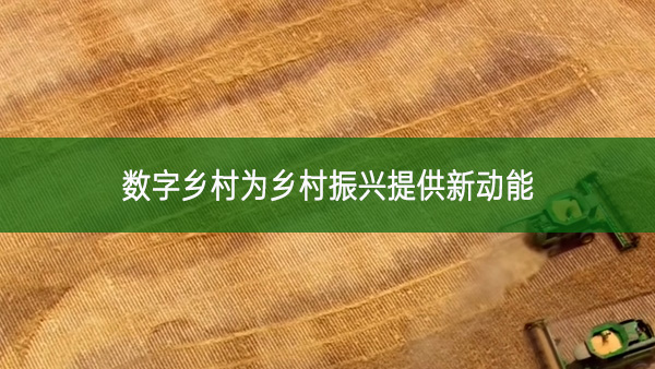 數字鄉村為鄉村振興提供新動能