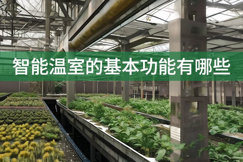 智能溫室的基本功能有哪些?