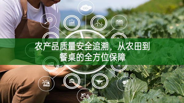 農產品質量安全追溯，從農田到餐桌的全方位保障