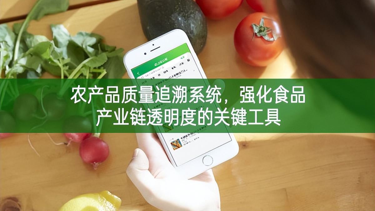 農產品質量追溯系統，強化食品產業鏈透明度的關鍵工具