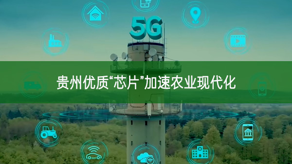 貴州優質“芯片”加速農業現代化