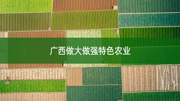 廣西做大做強特色農業